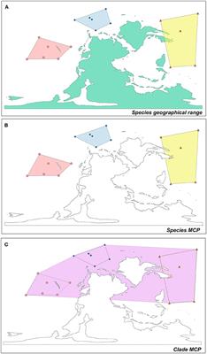 Diversification Rates and the Evolution of Species Range Size Frequency Distribution